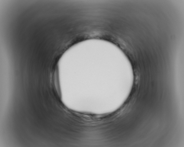 X0000113121156200910091131