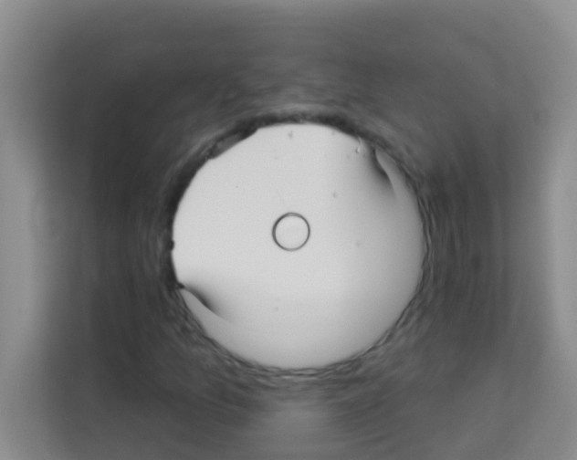X0000113121157200910091131