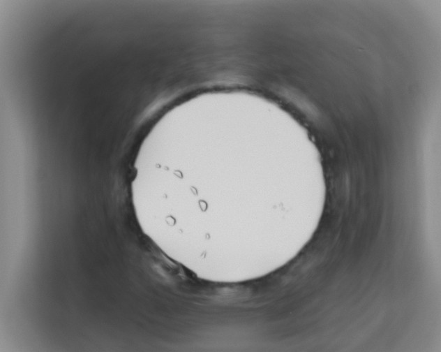 X0000113121160200910091131