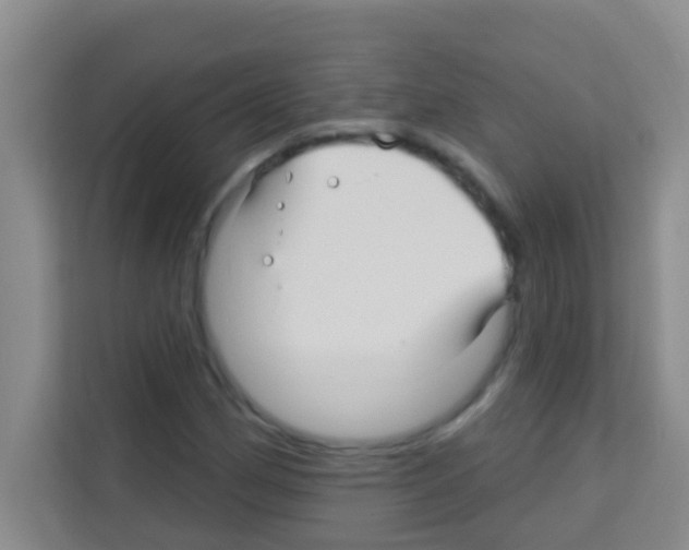 X0000113121162200910091131