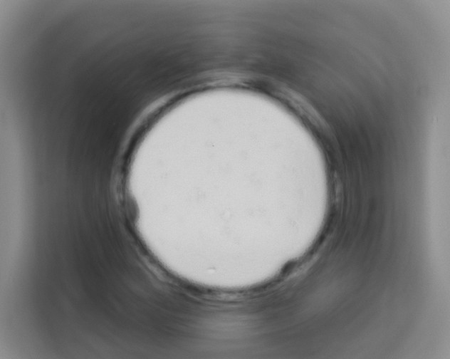 X0000113121164200910091131