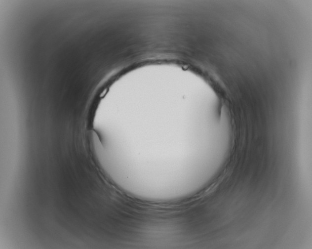 X0000113121165200910091131