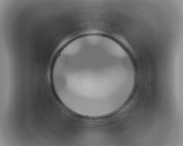 X0000113121173200910091131
