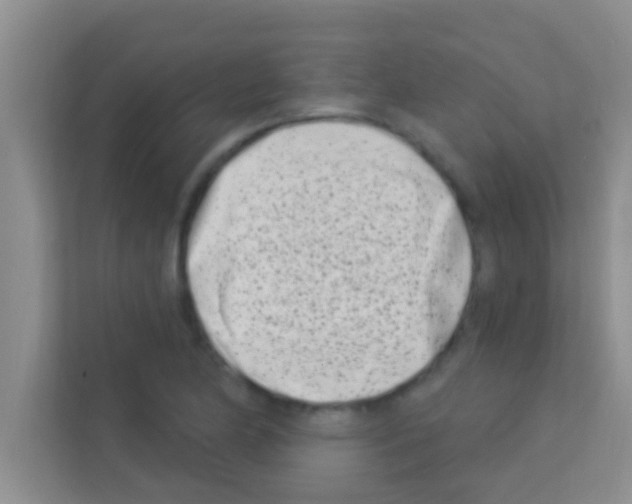 X0000113121174200910091131