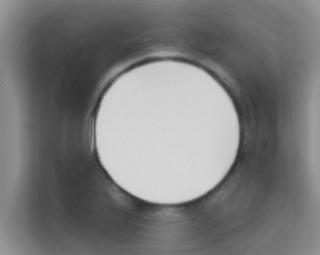 X0000113121175200910091131