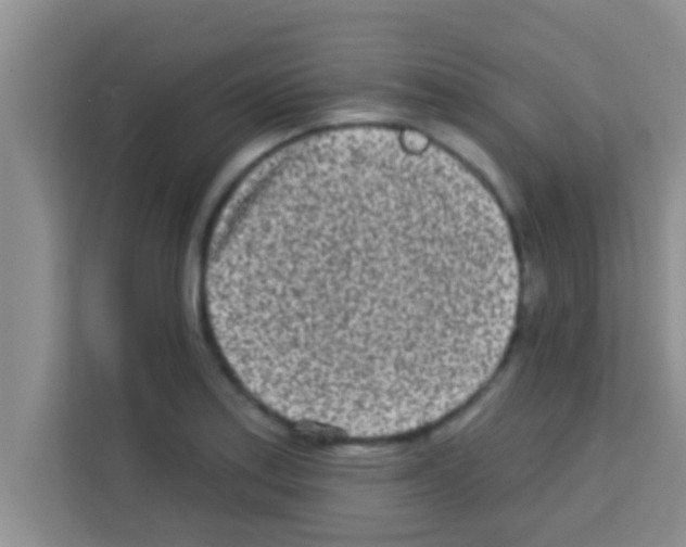 X0000113121179200910091131