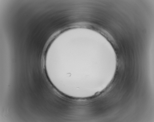 X0000113121180200910091131