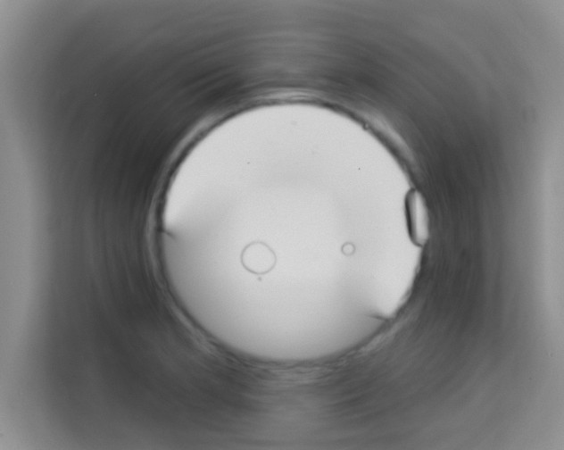 X0000113121181200910091131