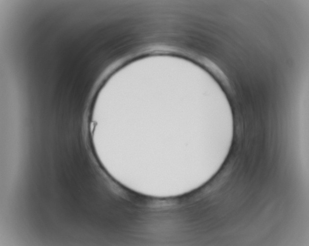 X0000113121183200910091131
