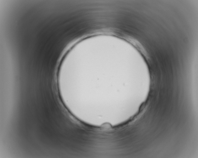 X0000113121184200910091131