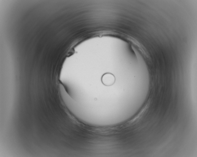 X0000113121185200910091131