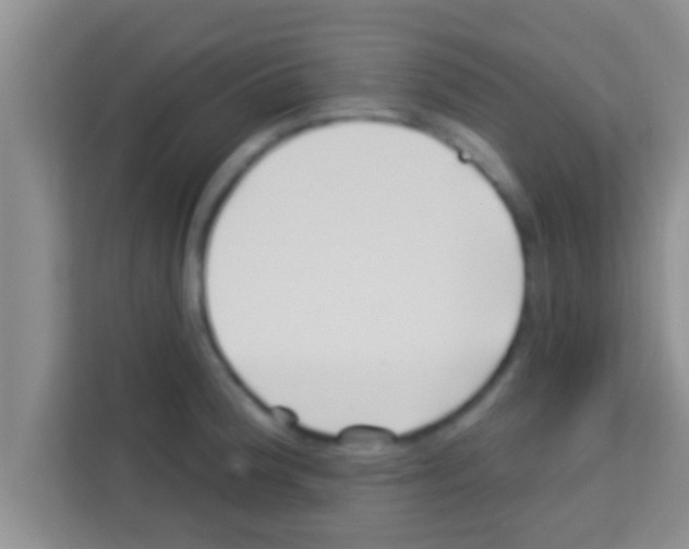 X0000113121188200910091131
