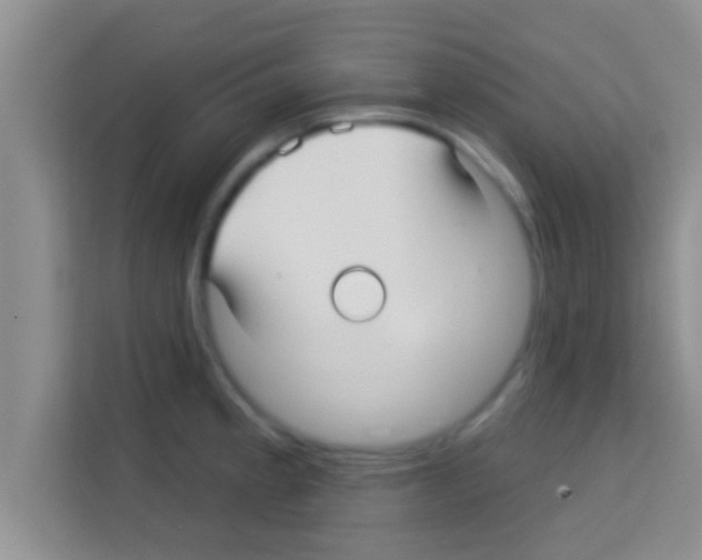 X0000113121189200910091131