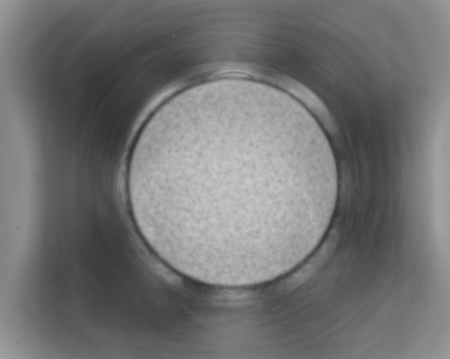 X0000113121190200910091131