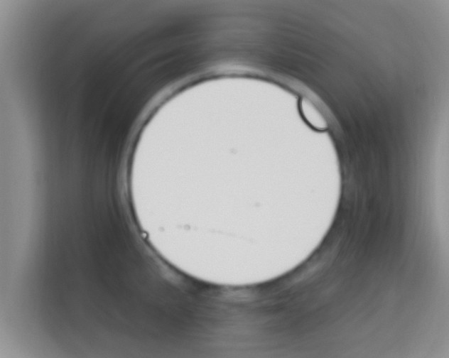 X0000113121191200910091131