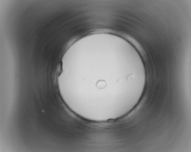 X0000113121193200910091131