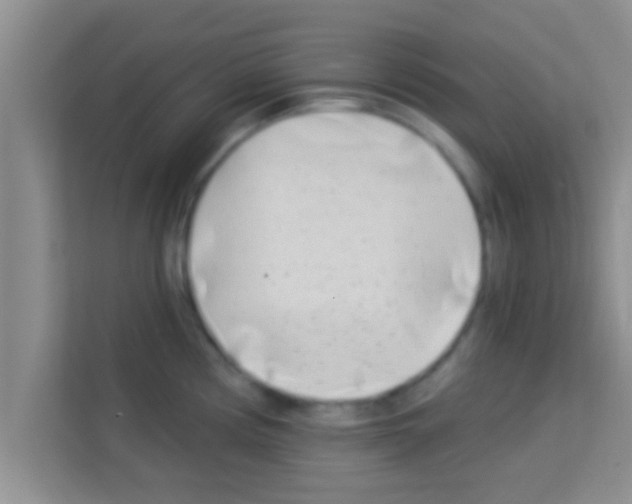 X0000113121194200910091131