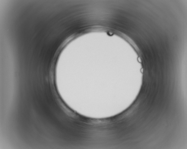 X0000113121195200910091131