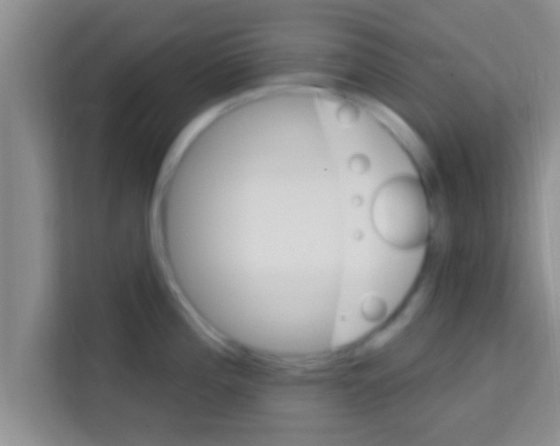 X0000113121196200910091131