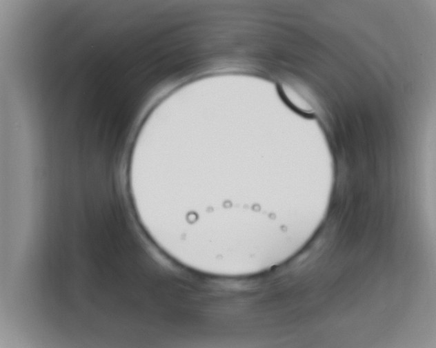 X0000113121197200910091131