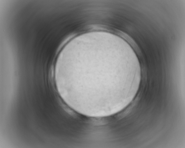 X0000113121198200910091131