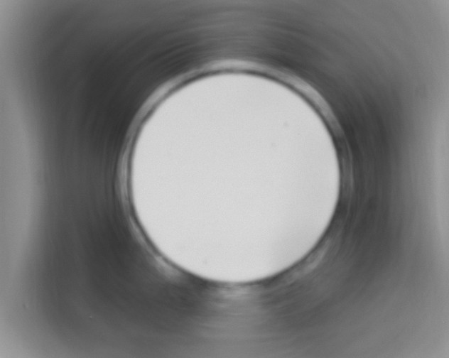 X0000113121199200910091131