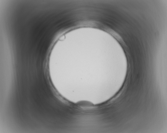X0000113121200200910091131