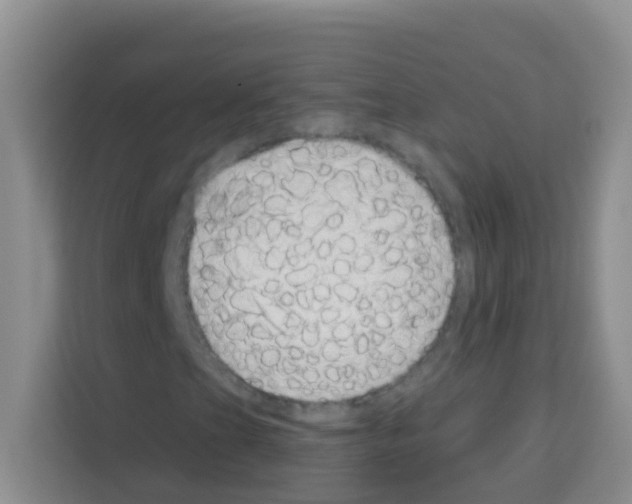 X0000113121201200910091130