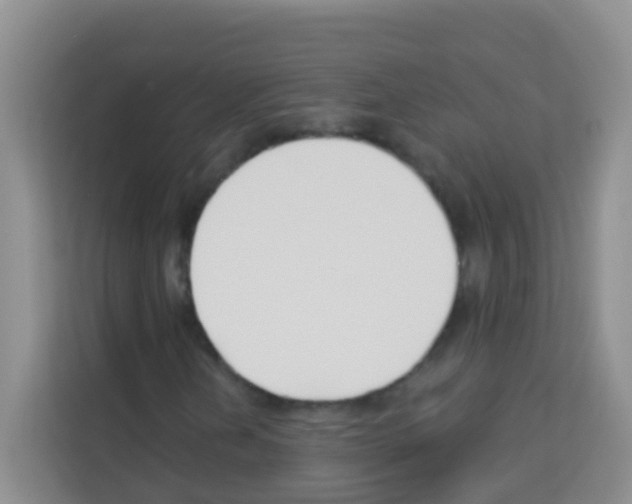 X0000113121202200910091130