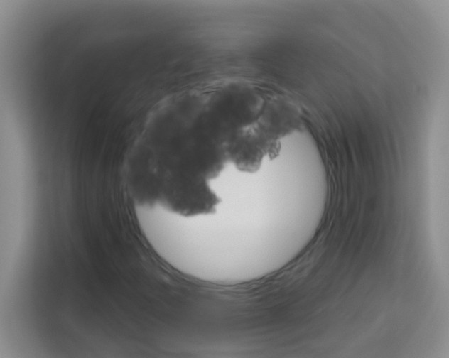X0000113121204200910091130