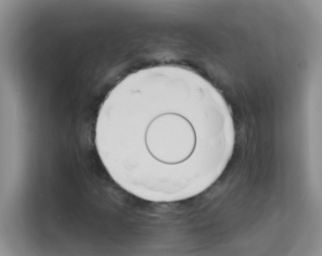 X0000113121205200910091130