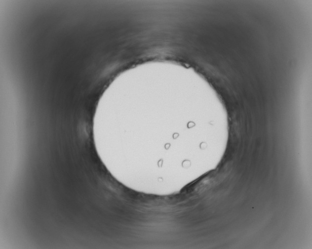 X0000113121206200910091130