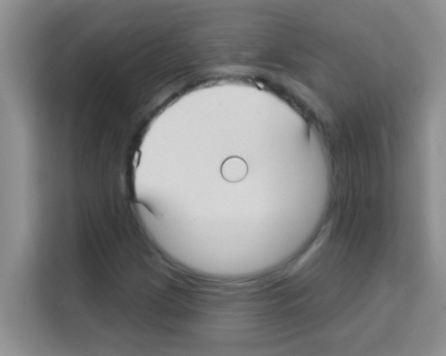 X0000113121209200910091130