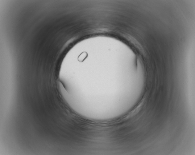 X0000113121210200910091130