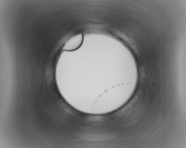 X0000113121211200910091130