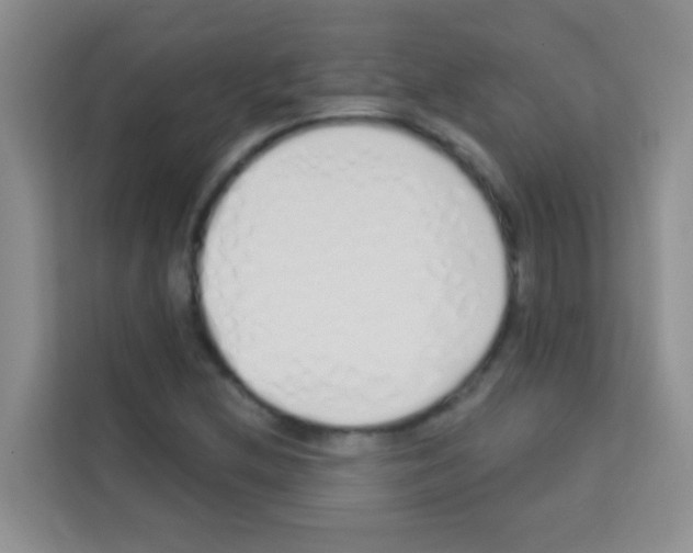 X0000113121212200910091130
