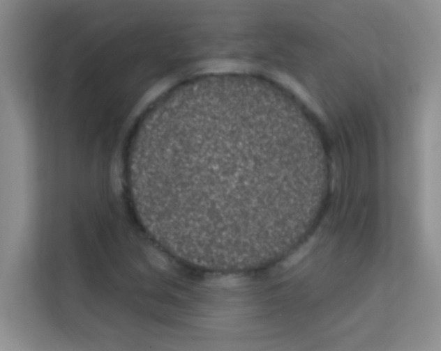 X0000113121213200910091130