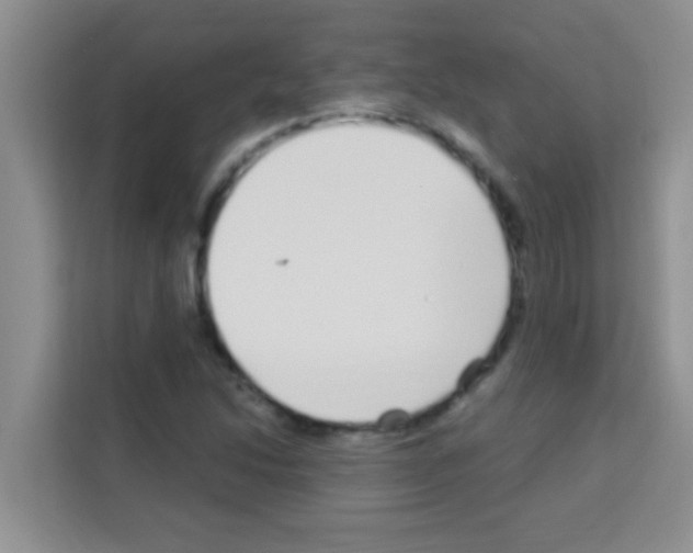 X0000113121214200910091130