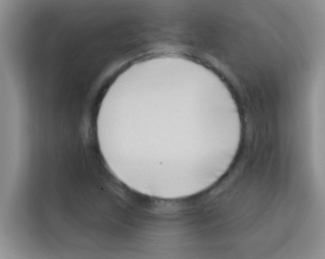 X0000113121215200910091130