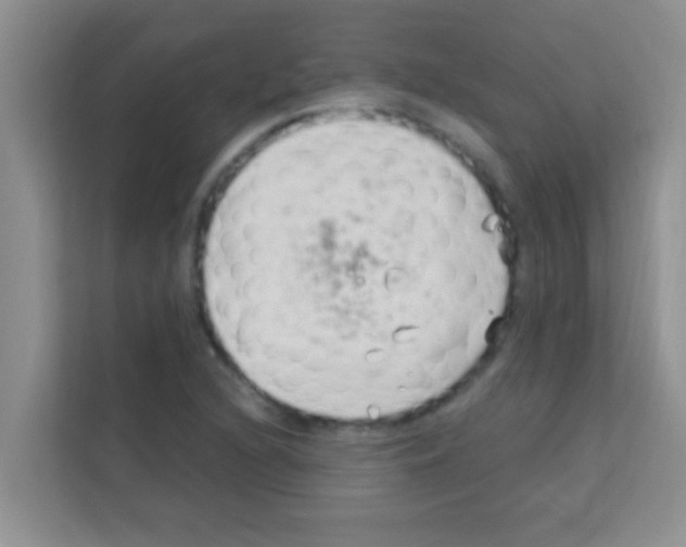 X0000113121216200910091130