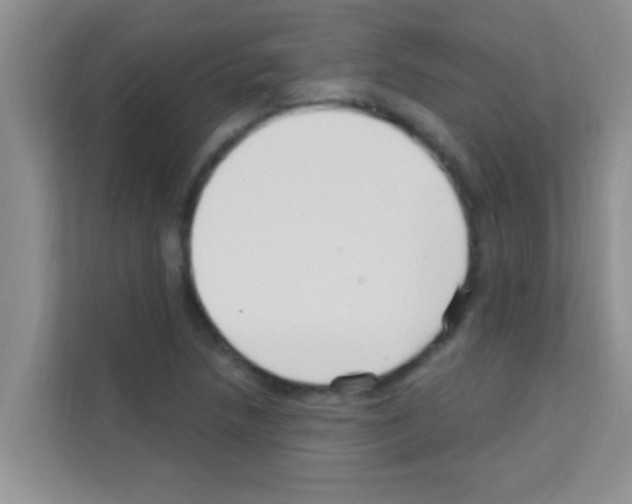 X0000113121218200910091130