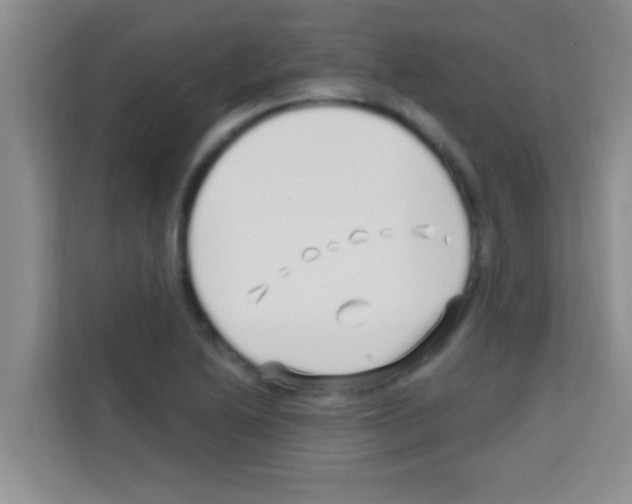 X0000113121222200910091130