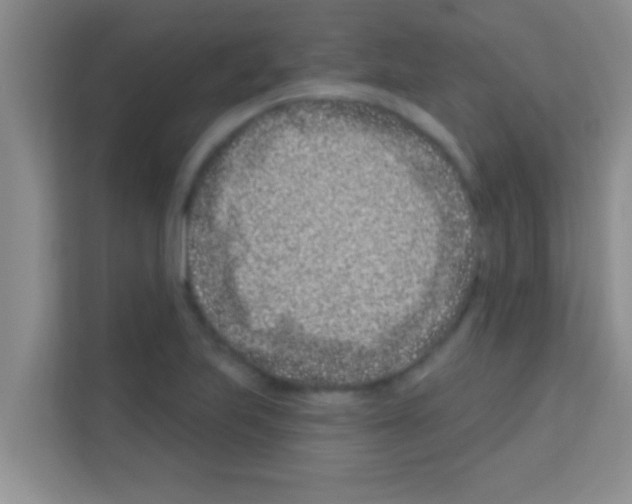 X0000113121223200910091130