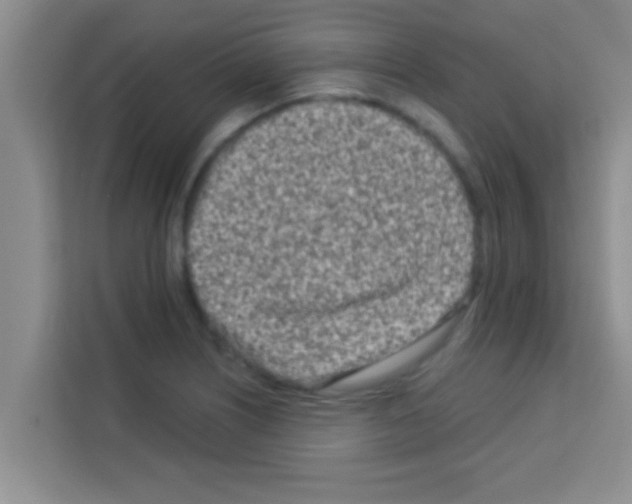 X0000113121226200910091130