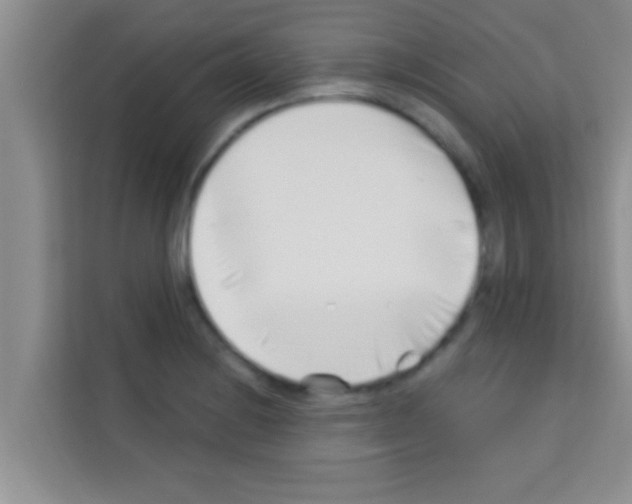 X0000113121228200910091130