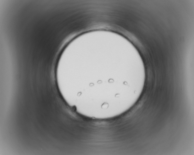 X0000113121230200910091130