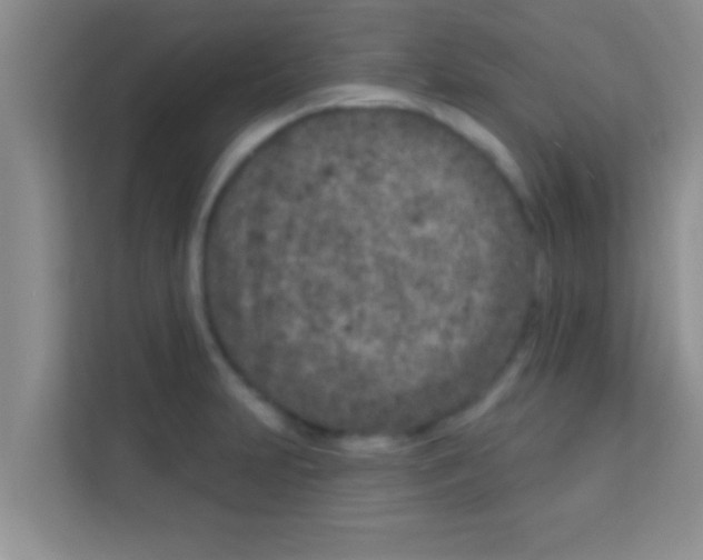 X0000113121231200910091130