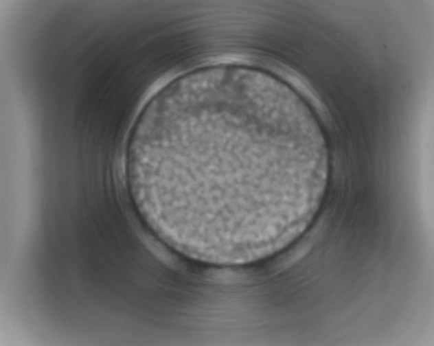 X0000113121234200910091130
