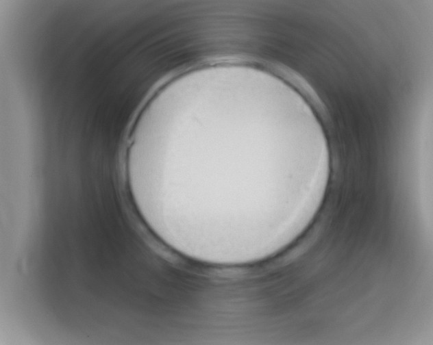 X0000113121236200910091130