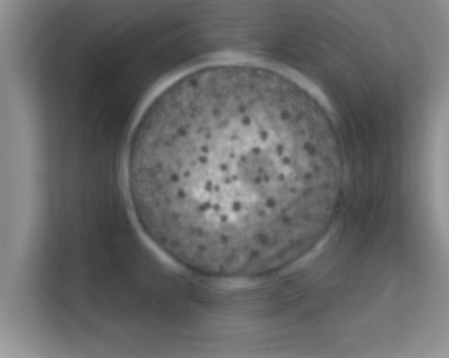 X0000113121239200910091130